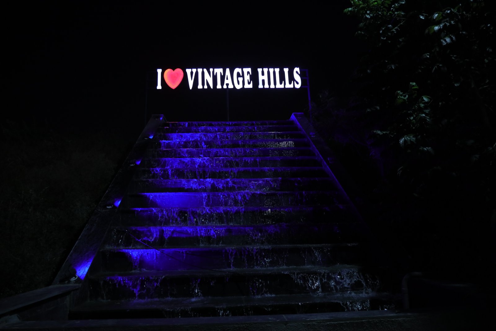 Anniversary Celebration 4